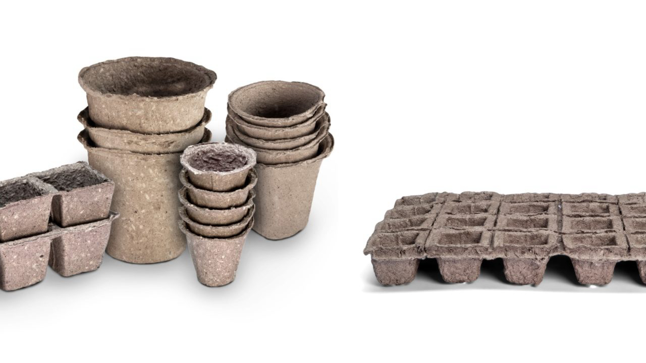 Diferentes modelos de vasos biodegradáveis disponíveis